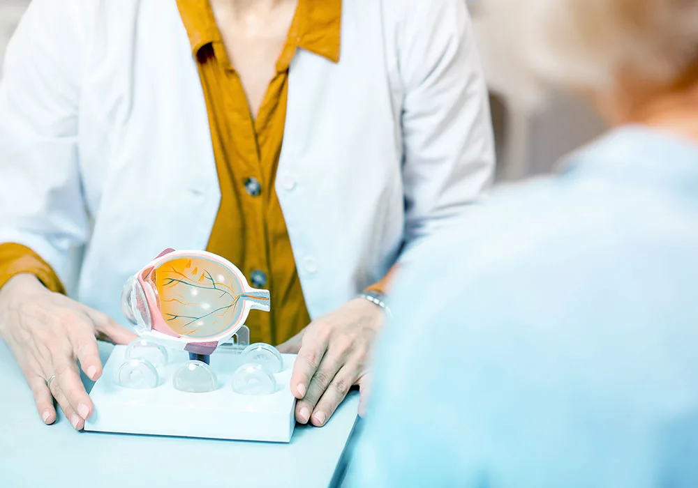 An eye specialist explains the causes and risk factors of cataracts to a patient using an anatomical eye model