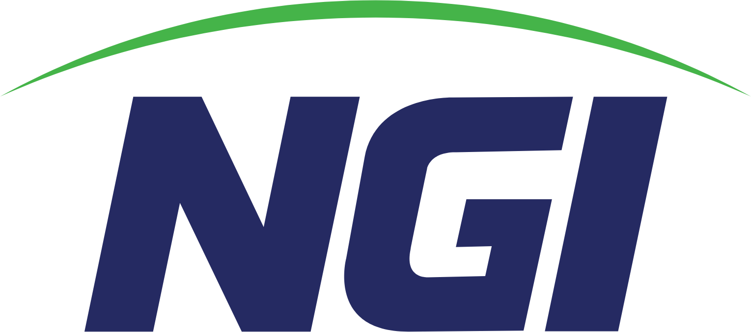 NGI insurance